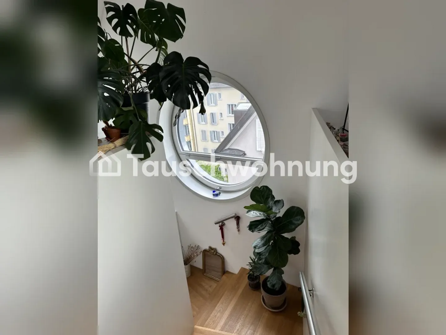 Wunderschöne Maisonette Wohnung, viel Licht &amp; Dachterrasse - Foto 2 von 9