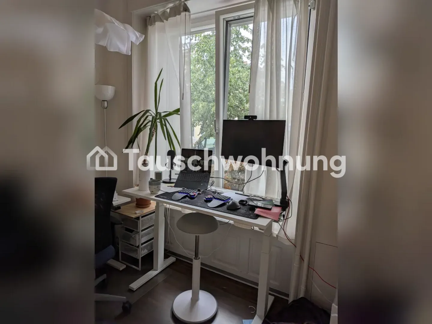 Gemütliche Wohnung in Wipkingen - Foto 9 von 13