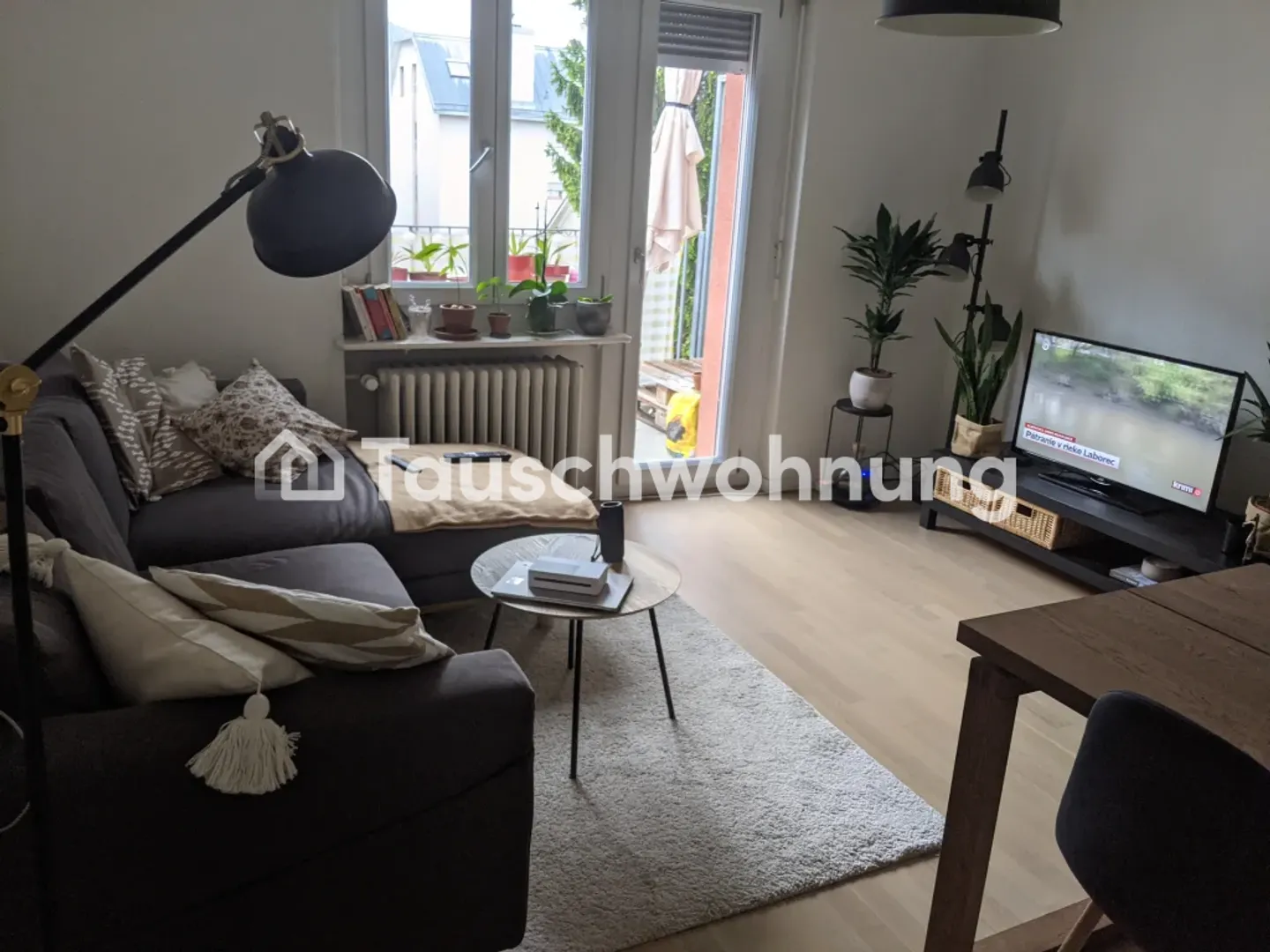 Charmante Wohnung in Zürich - Foto 2 von 2