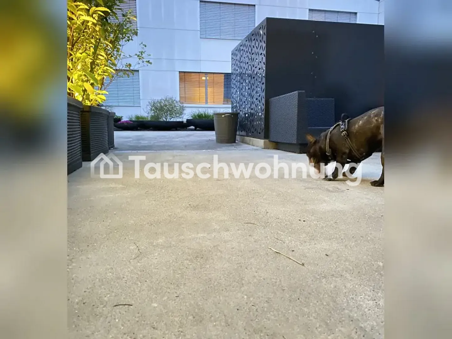 Charmante Maisonette Wohnung - Foto 4 von 8