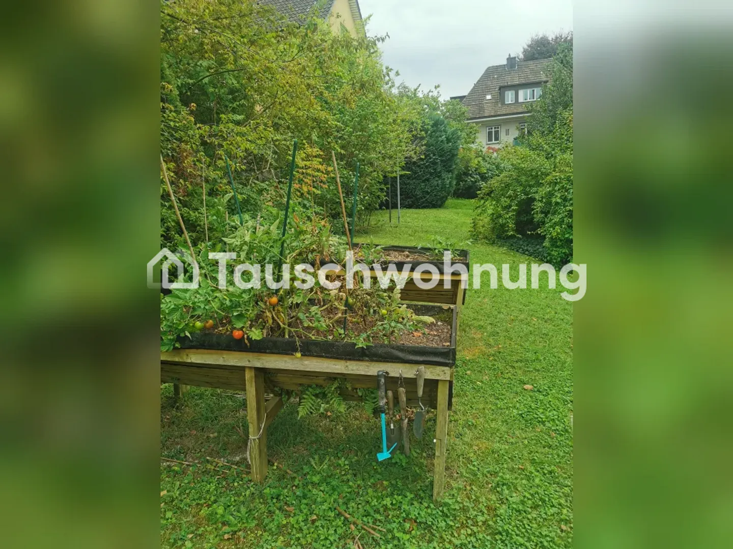 Traumwohnung mit Ferienfeeling - Photo 11 of 12