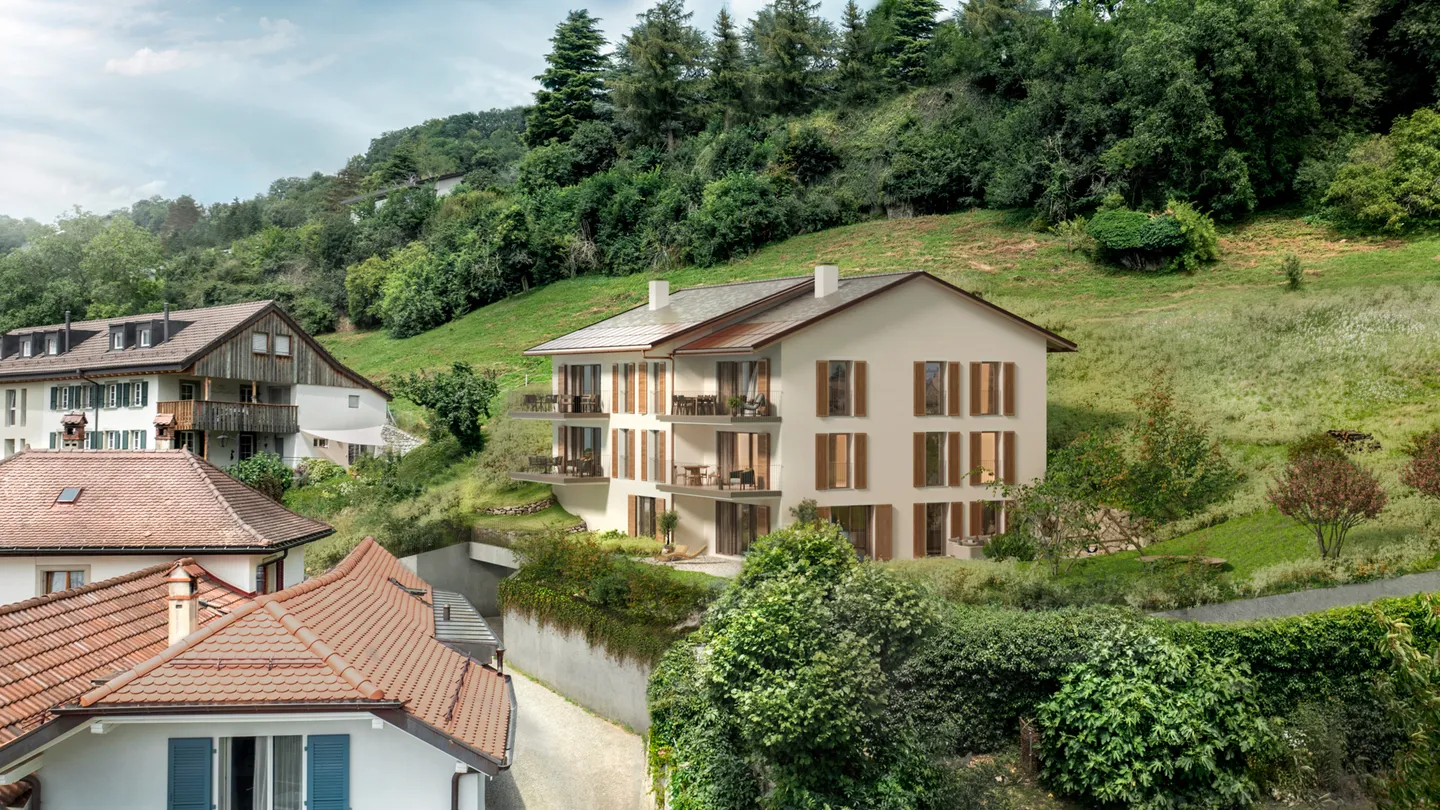 CHARDONNE - ATTIQUE D'EXCEPTION NEUF AVEC VUE PANORAMIQUE - Photo 6 sur 6