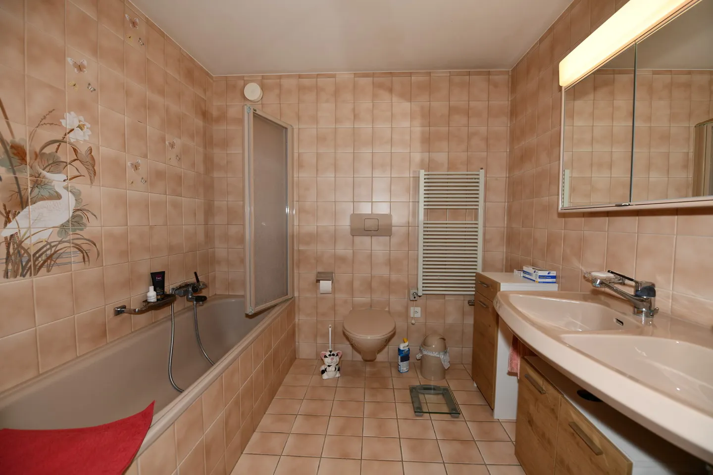 AIGLE - IMMEUBLE 3 APPARTEMENTS + 8 PLACES PARC - Photo 4 sur 13