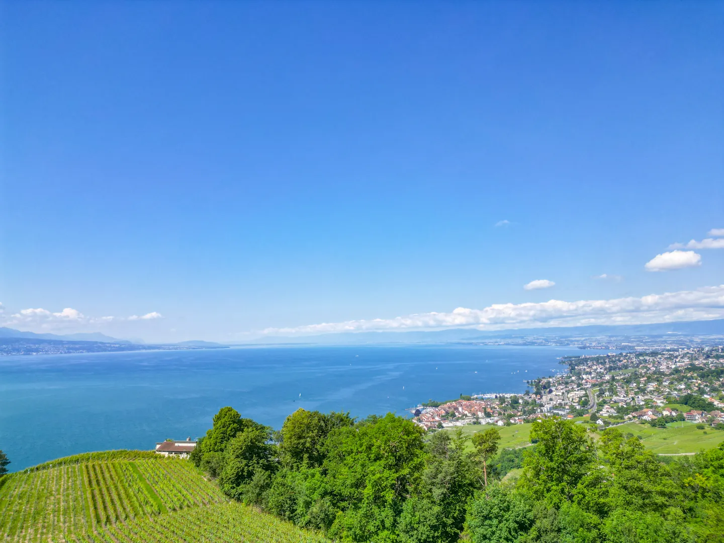 LUTRY - UNIQUE! MAGNIFICENT VILLA IN THE HEART OF THE VINES - Photo 3 of 13