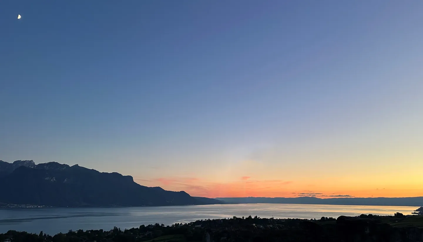 BLONAY - HIGH-END PROPERTY - SWIMMING POOL - PANORAMIC VIEW OF THE LAKE - Photo 1 of 3