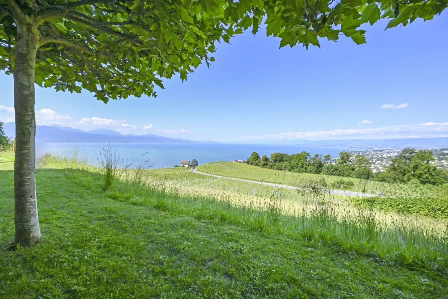LUTRY - EINZIGARTIG! PRÄCHTIGE VILLA IM HERZEN DER WEINBERGE - Foto 3 von 13