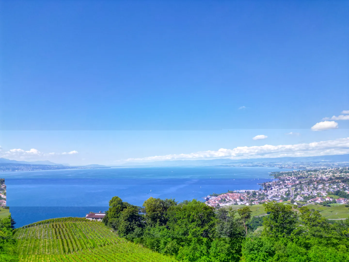 LUTRY - EINZIGARTIG! PRÄCHTIGE VILLA IM HERZEN DER WEINBERGE - Foto 5 von 13