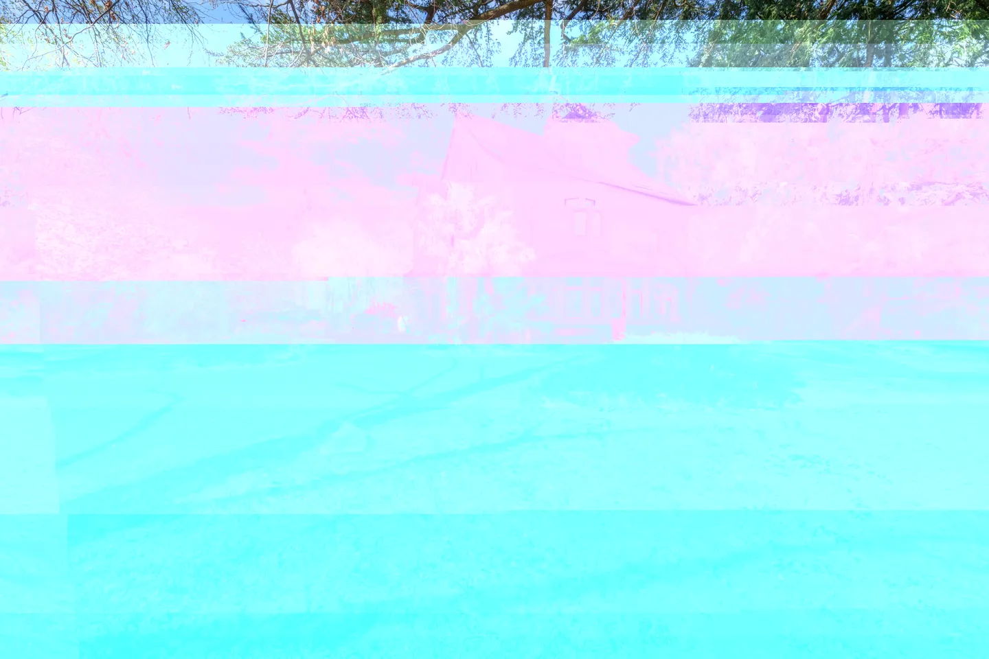 SOMPTUOSA CASA PADRONALE CON GIARDINO ECCEZIONALE - Foto 4 di 13