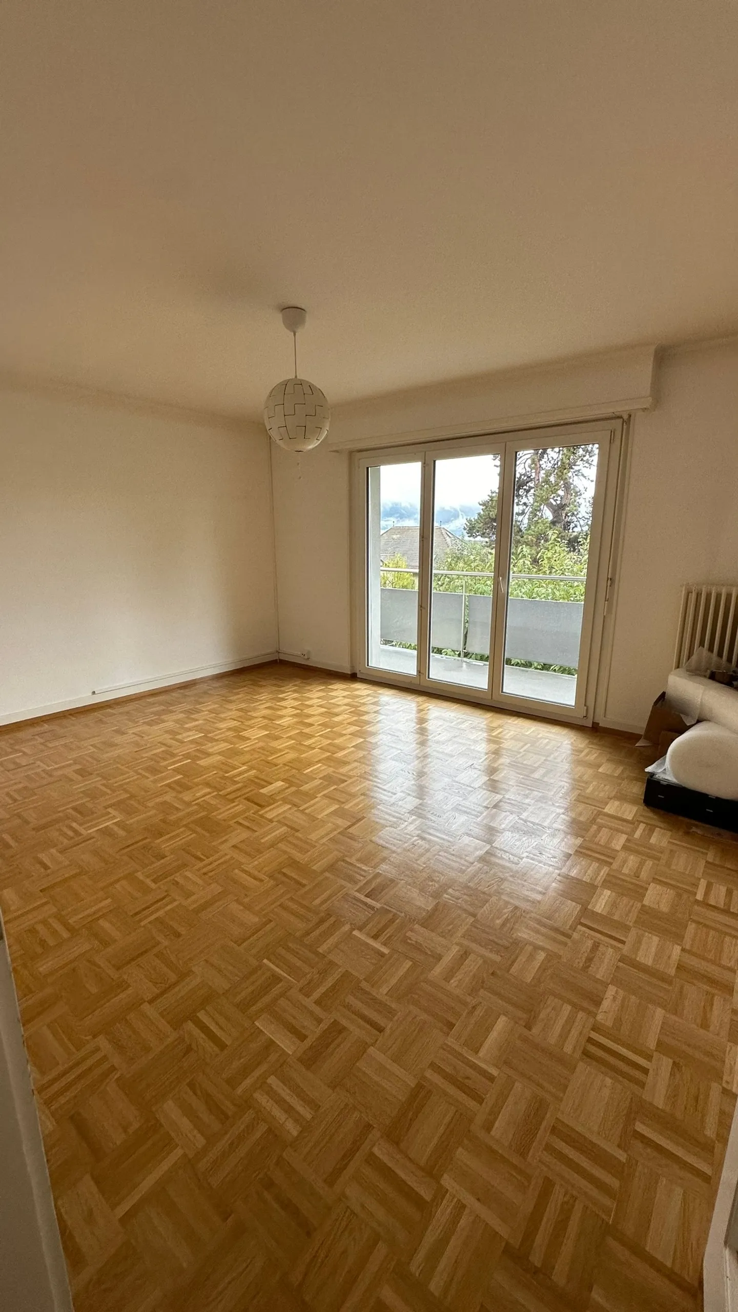 Appartement Charmant avec Vue sur le Lac - Photo 2 sur 6