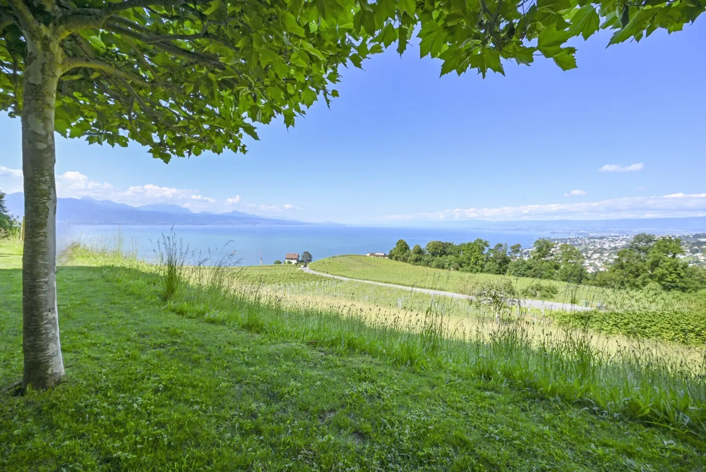 Villa Luxueuse à Lavaux - Photo 4 sur 13