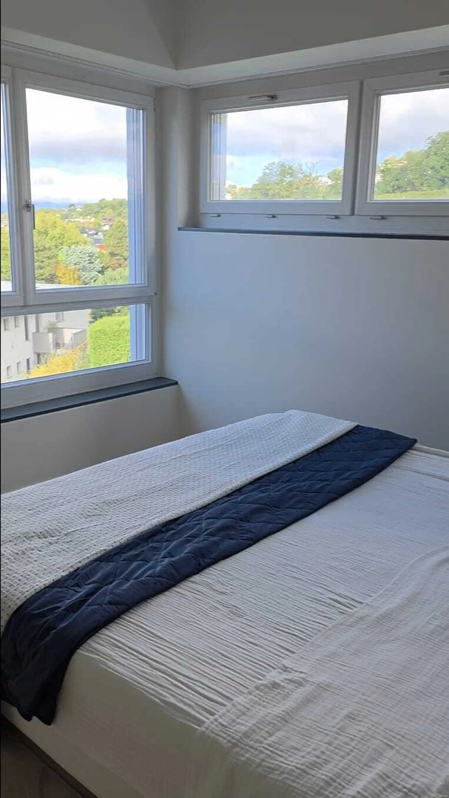 LUTRY - BEAUTIFUL 4.5-ROOM APARTMENT WITH LAKE VIEW - Photo 11 of 13