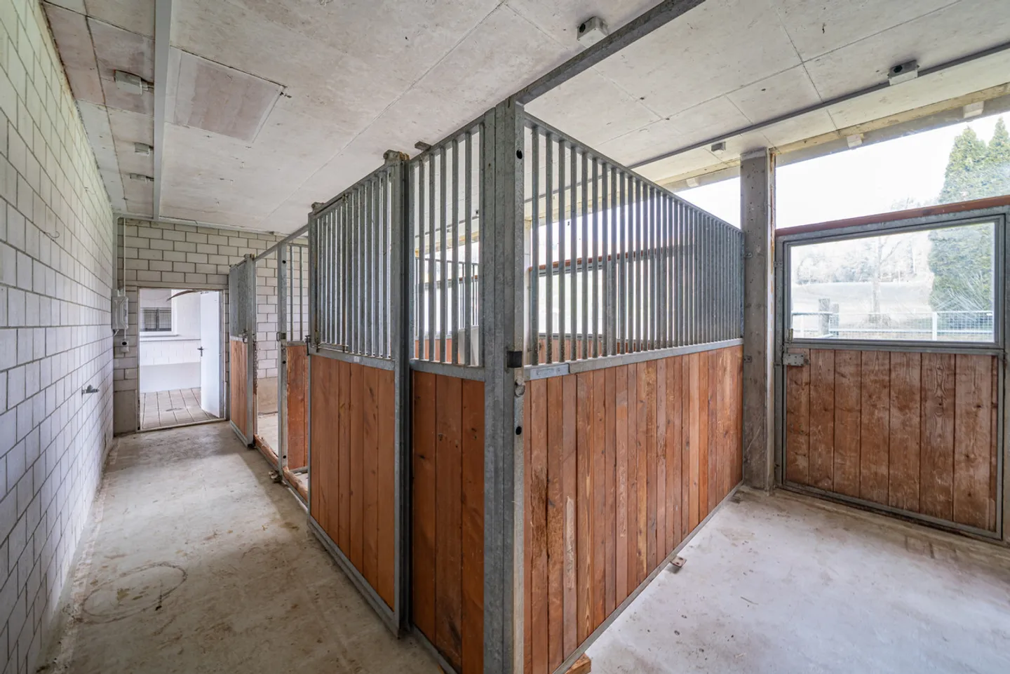 Villa di campagna luminosa con stalle per cavalli - Foto 6 di 8