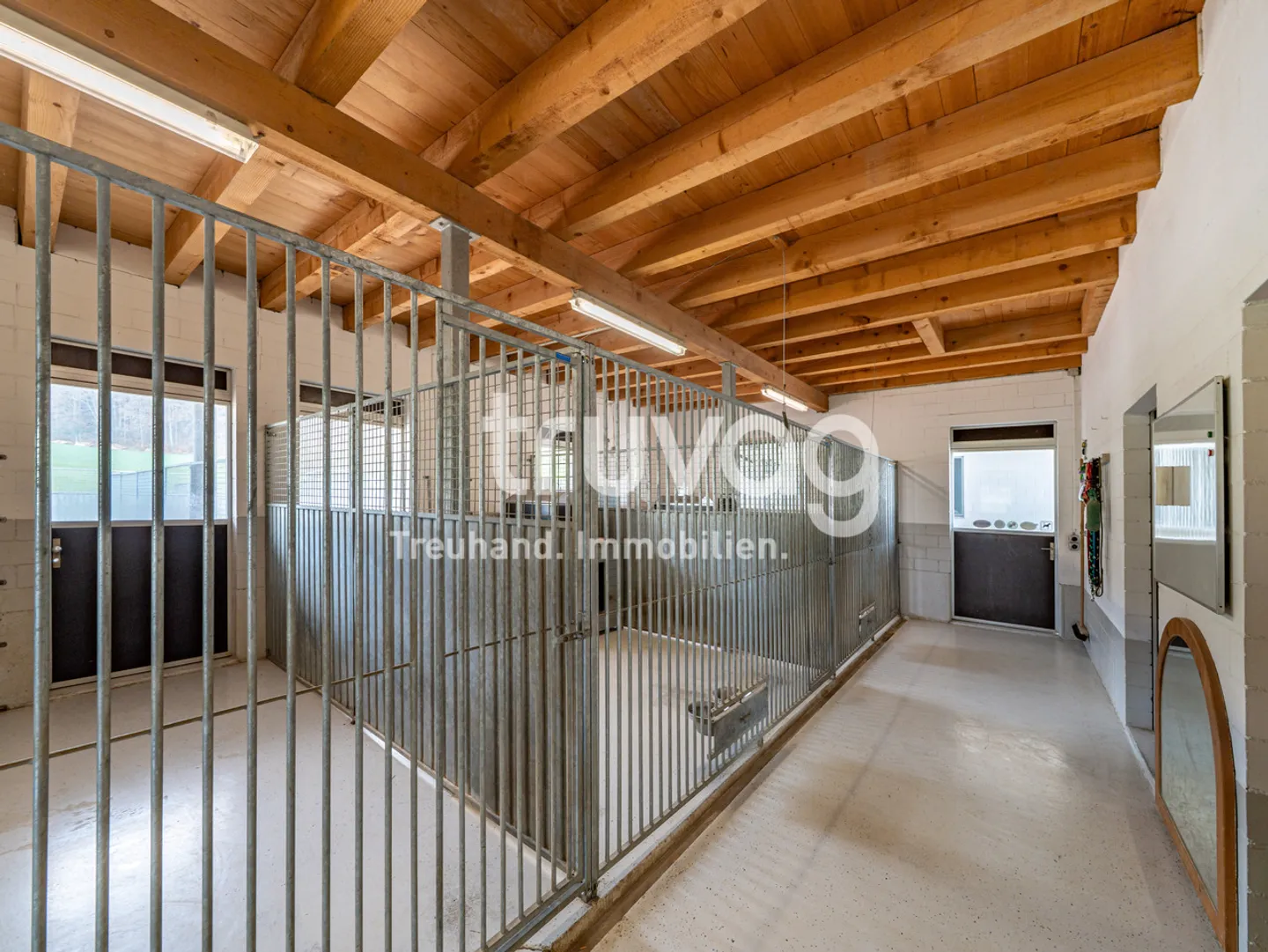 Light-Filled Country House Villa with Horse Stables - Photo 7 of 8