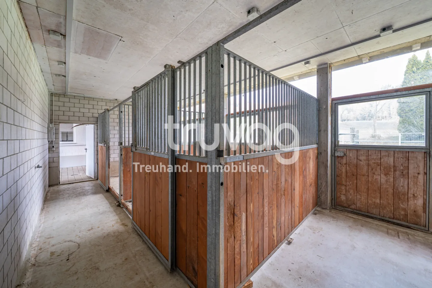 Light-Filled Country House Villa with Horse Stables - Photo 6 of 8
