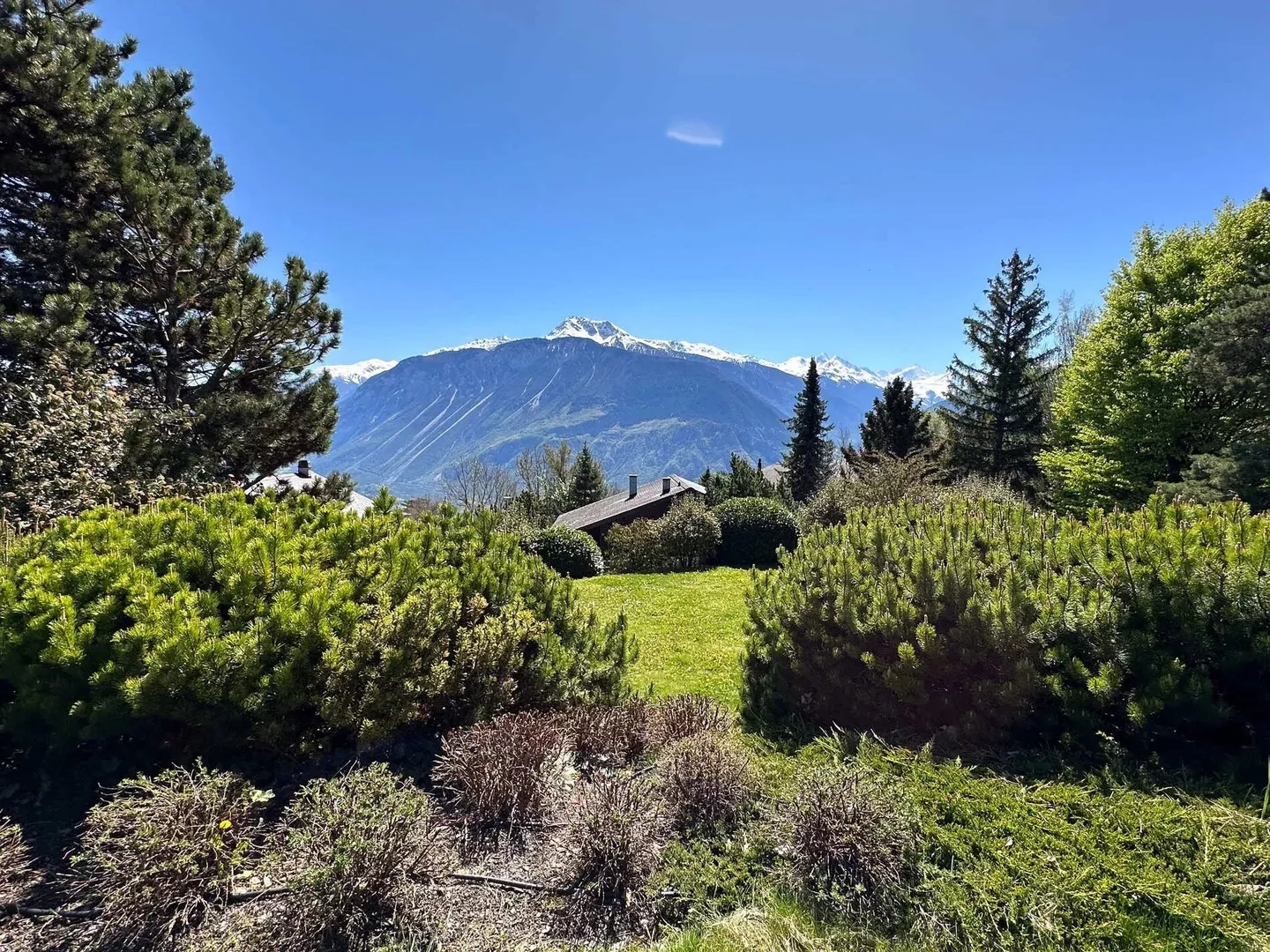 Calma assoluta per questa sublime proprietà immersa in un verde scenario - Foto 6 di 10