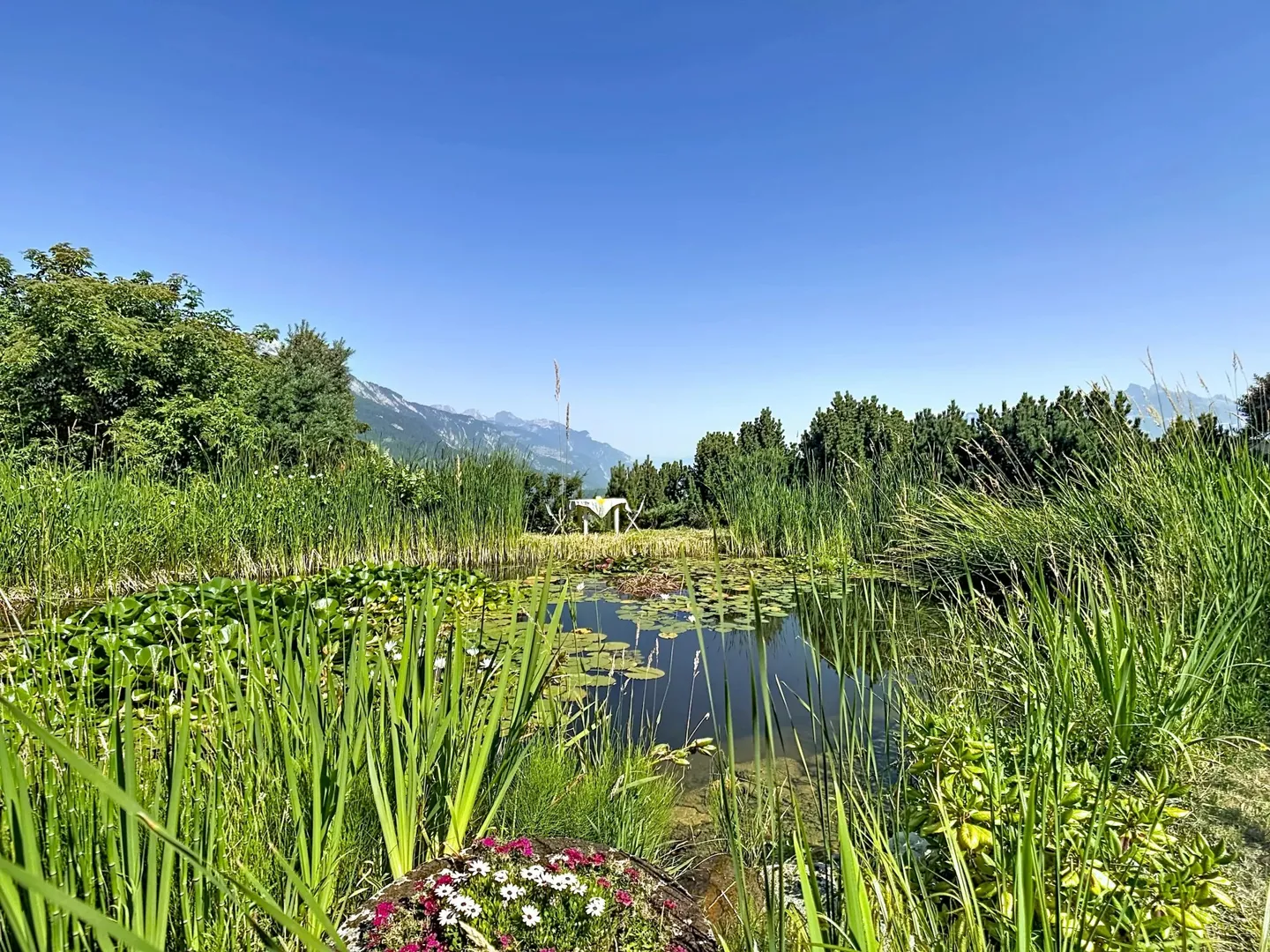 LES GIETTES | Villa individuelle d'exception avec vue imprenable et biotope naturel - Photo 8 of 13