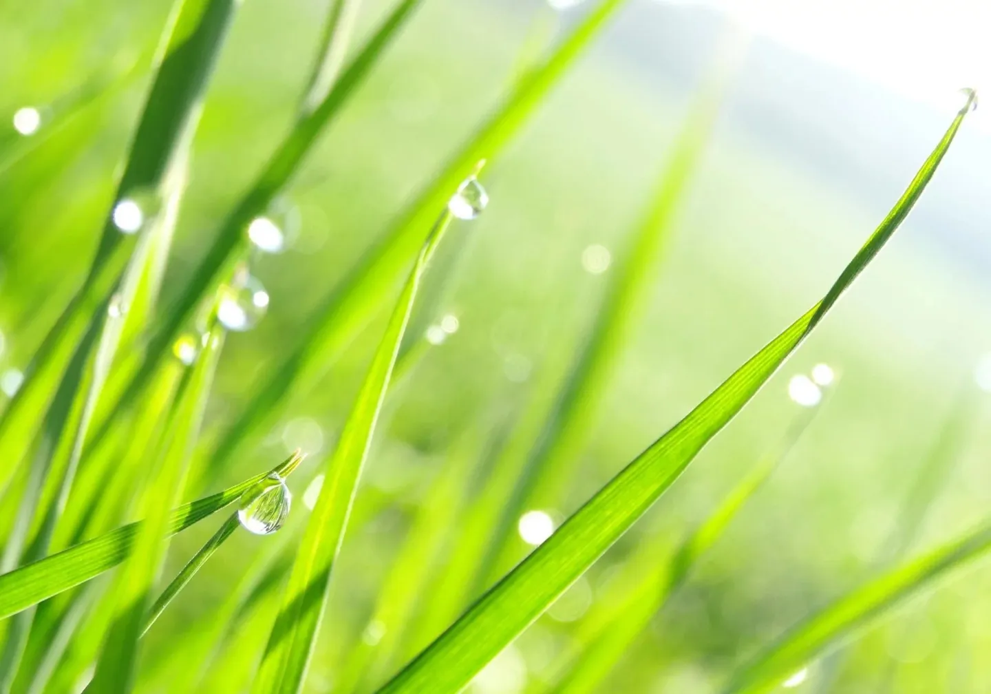 Building Plot Venthône - Photo 2 of 3