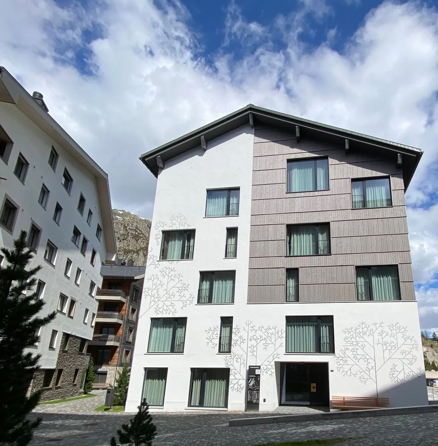 Modern Apartment in Swiss Alps - Photo 8 of 13