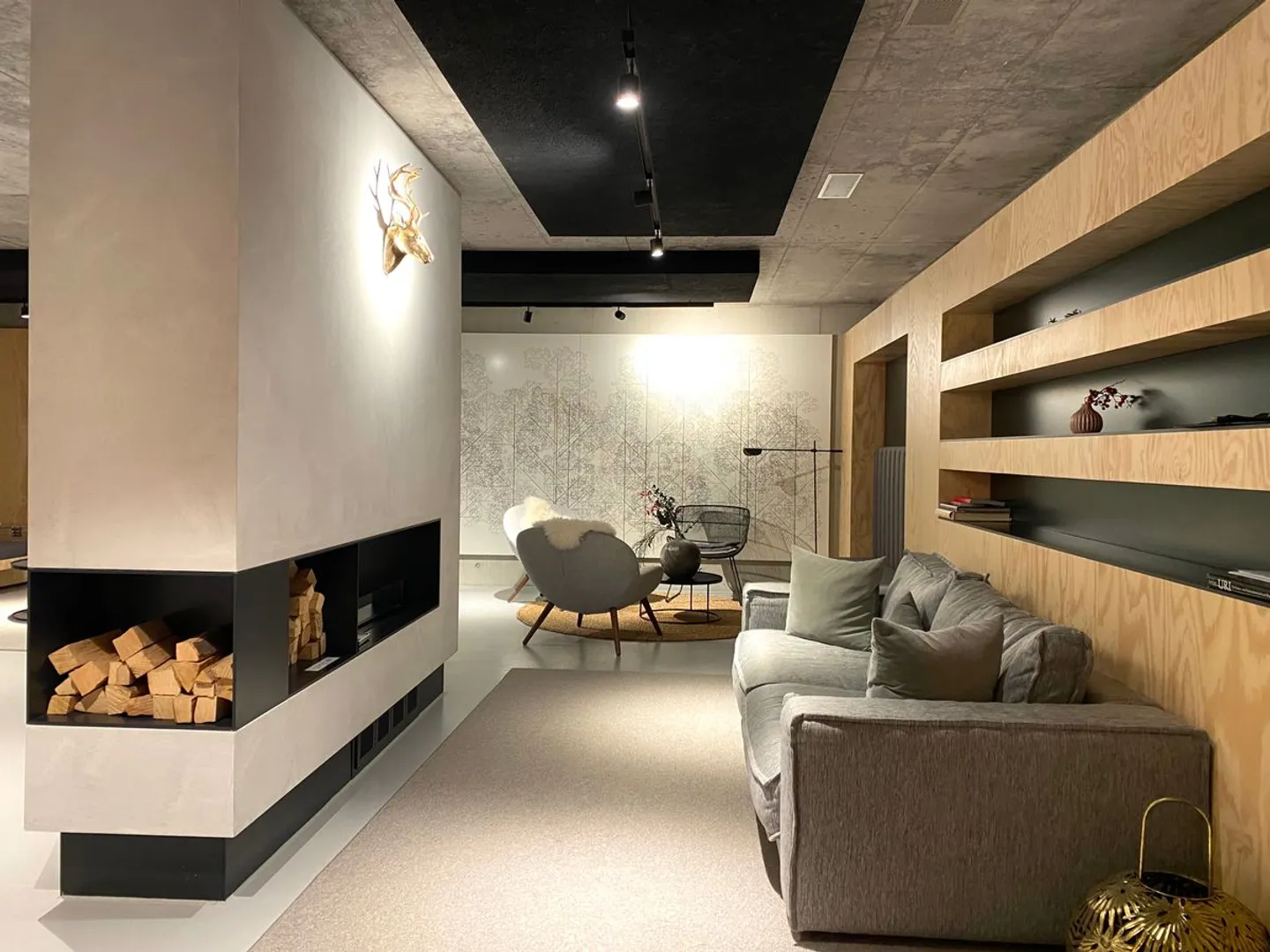 Modern Apartment in Swiss Alps - Photo 11 of 13