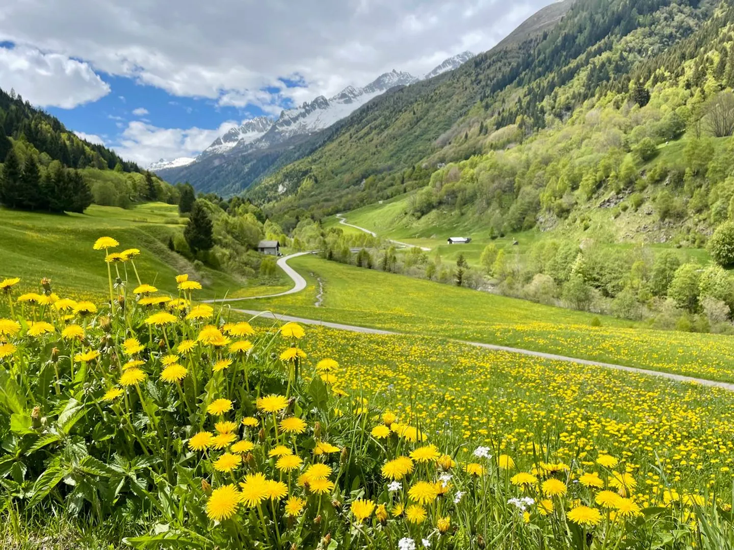 Charmantes 4.5-Zimmer Haus in idyllischer Alpenlandschaft - Photo 11 of 11