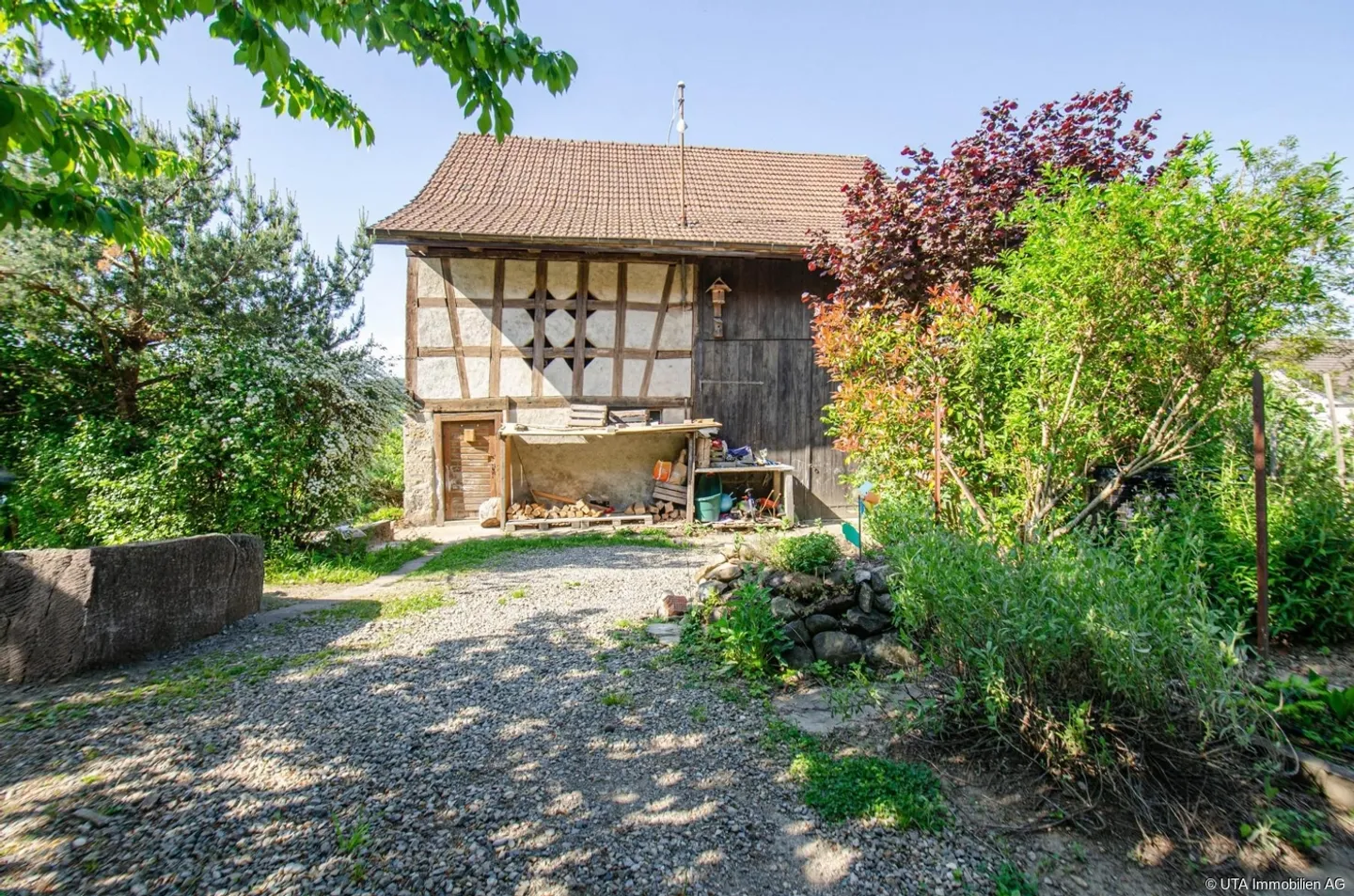 Charming Plot with Barn Potential - Photo 5 of 6