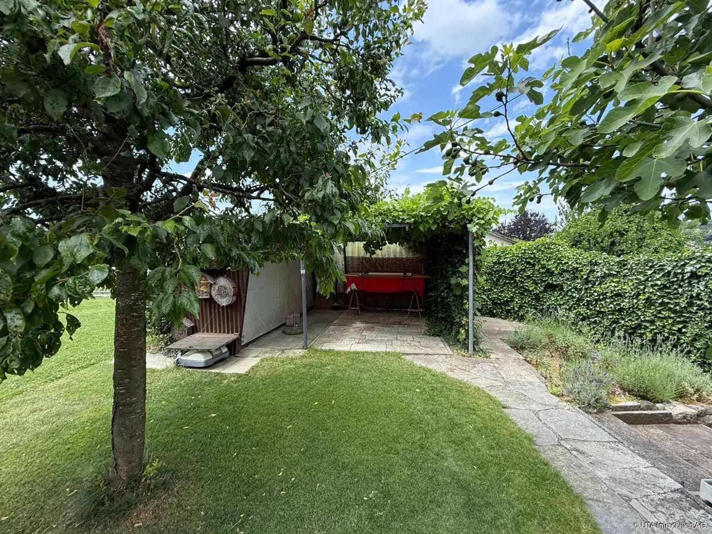 Casa unifamiliare con grande giardino in un quartiere tranquillo - Foto 2 di 4