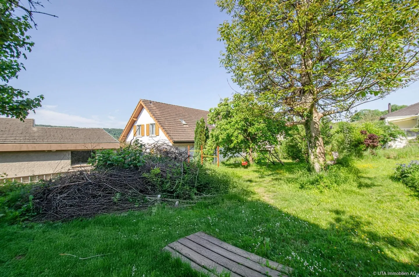 Charming Plot with Barn Potential - Photo 4 of 6