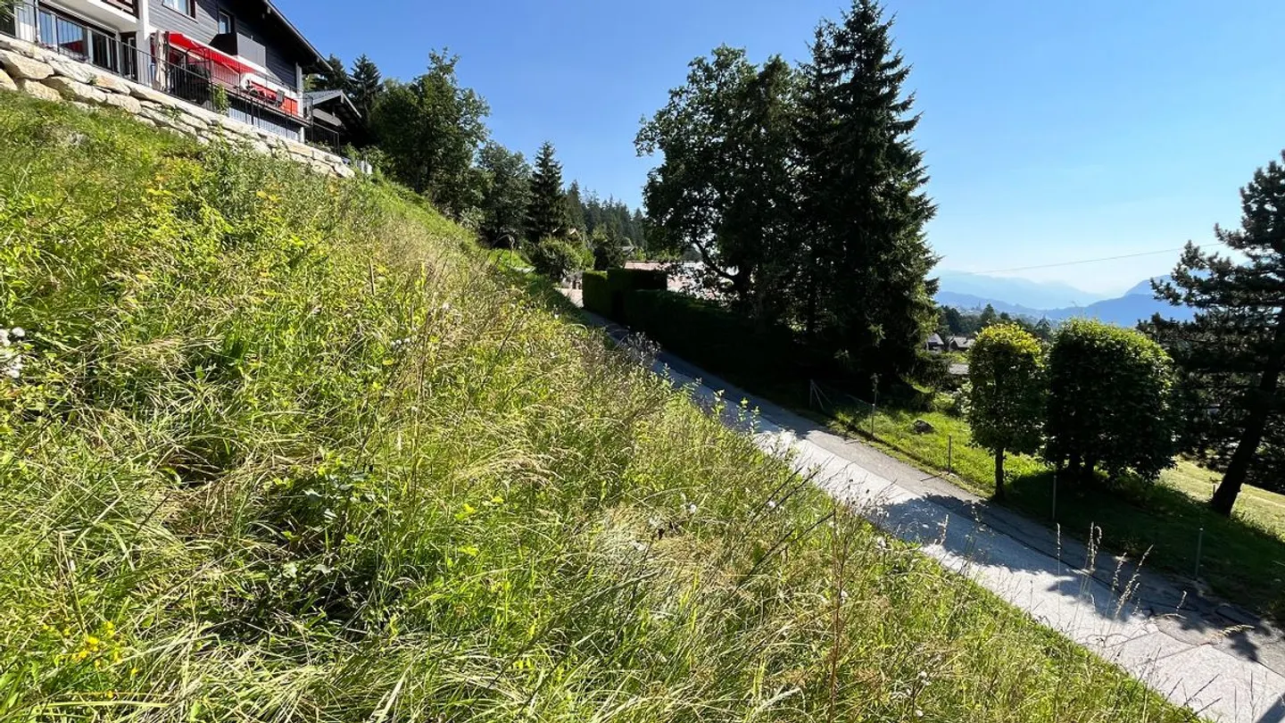 650 m² Grundstück - Foto 5 von 9