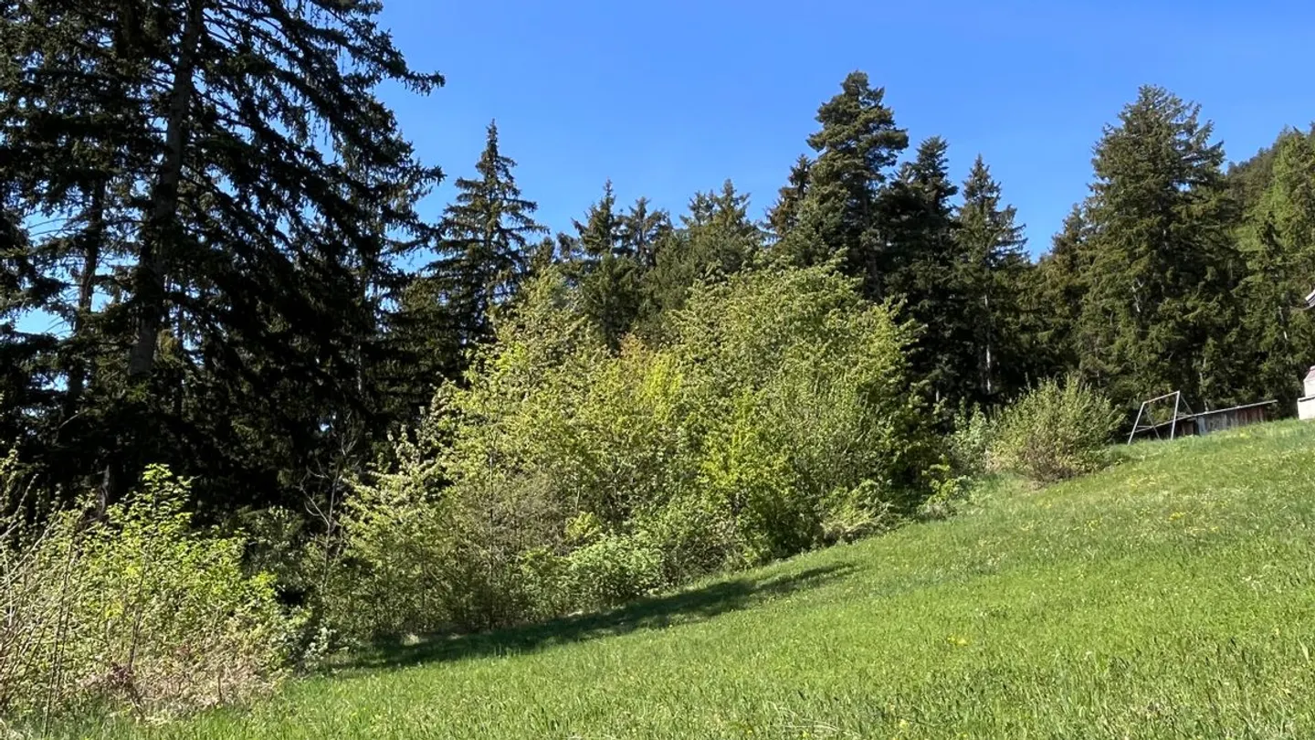 Schönes Baugrundstück - Foto 5 von 11