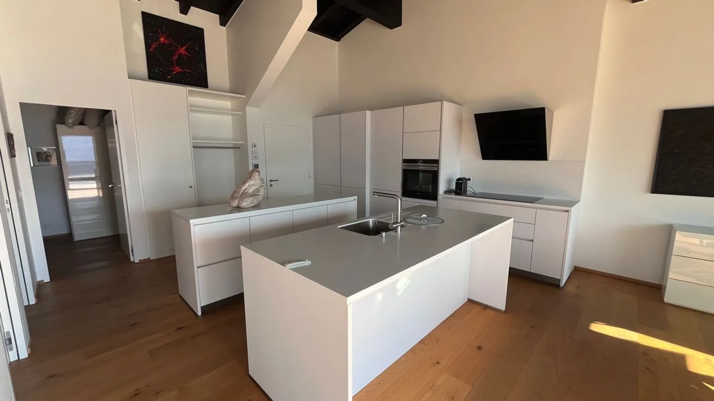 Contemporary penthouse with panoramic terrace - Photo 5 of 13