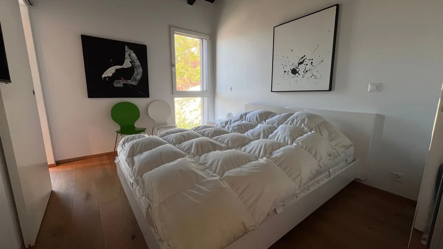 Contemporary penthouse with panoramic terrace - Photo 9 of 13