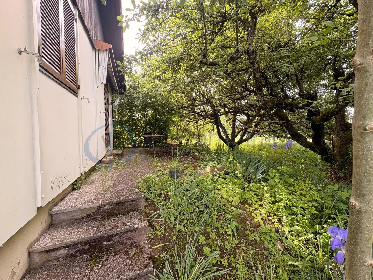 EINZELHAUS ZU RENOVIEREN – GROSSES POTENZIAL AUF GROSSEM GRUNDSTÜCK IN LANDWIRTSCHAFTLICHEM GEBIET - Foto 4 von 13
