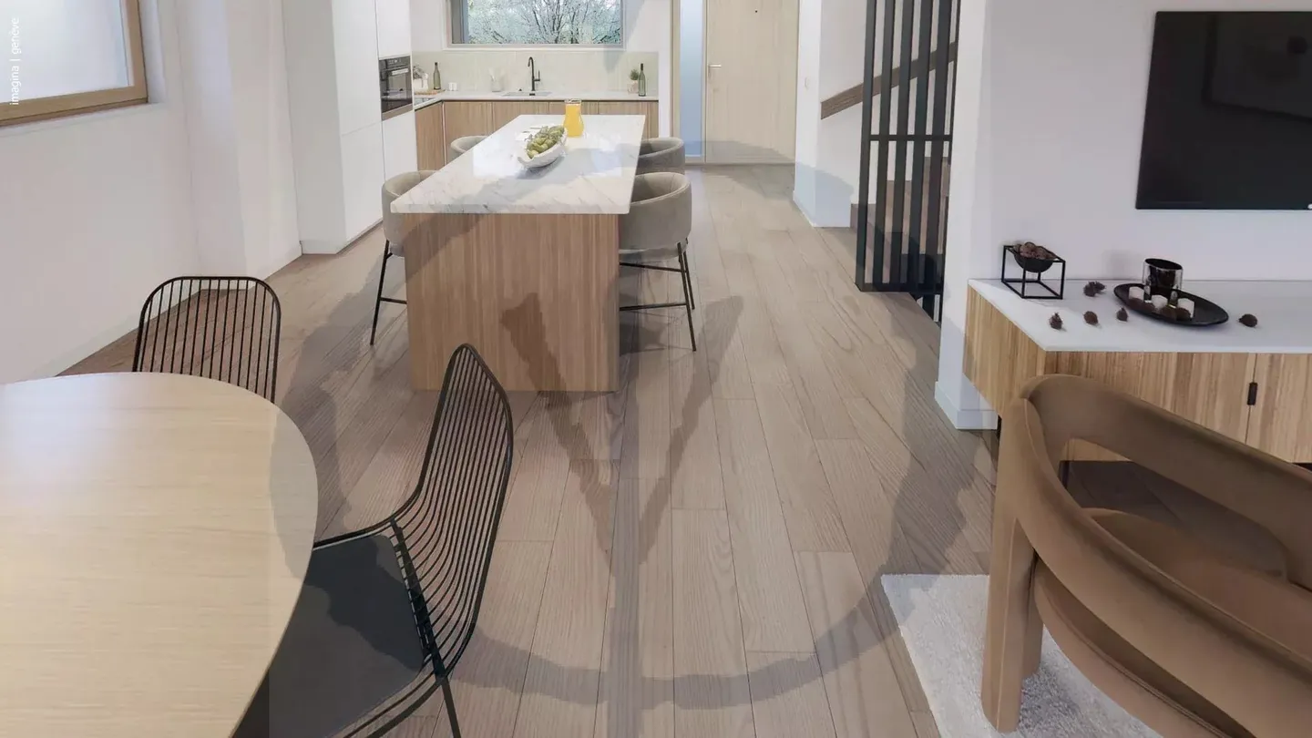 PROJECT OF 3 SEMI-DETACHED VILLAS IN THÔNEX - Photo 2 of 6