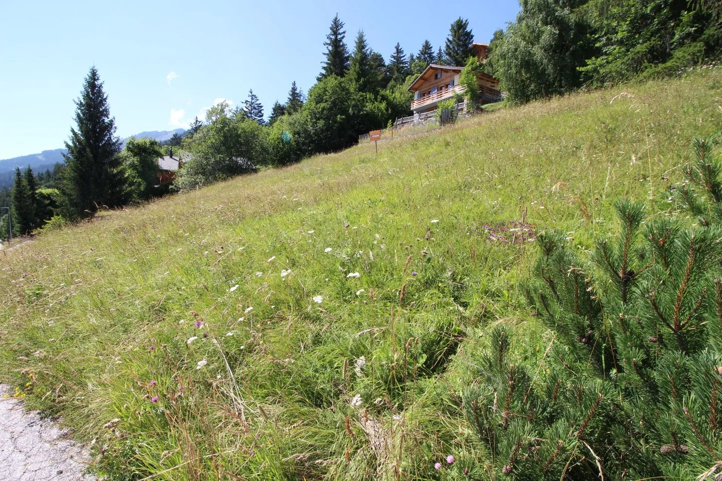 Magnificent plot in a corner of nature with a 180° view - Photo 2 of 2