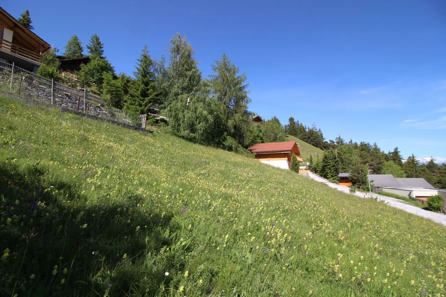 Magnificent plot in a corner of nature with a 180° view - Photo 4 of 4
