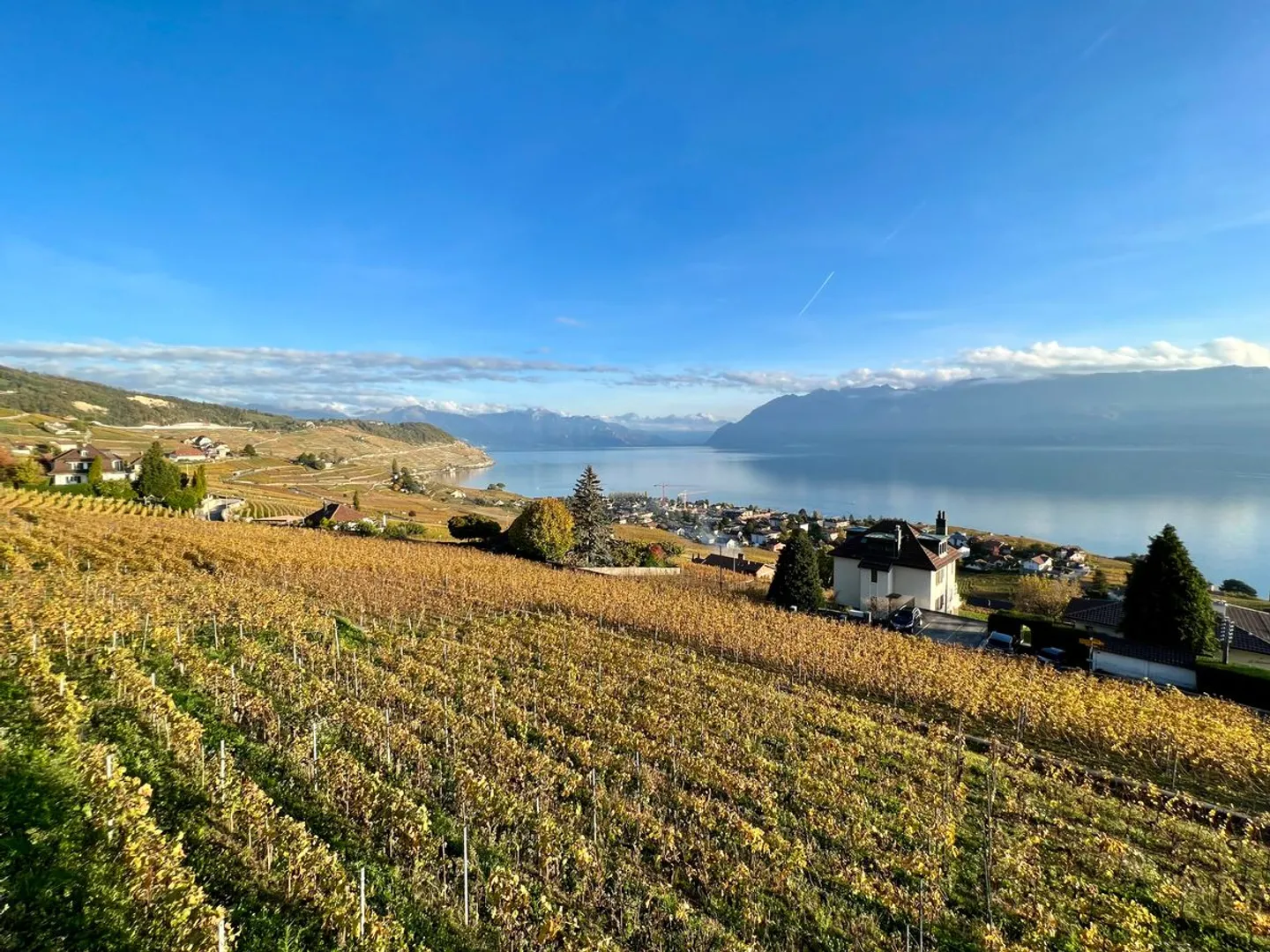 Grandvaux: Außergewöhnliche Wohnung mit Panoramablick - Foto 1 von 1