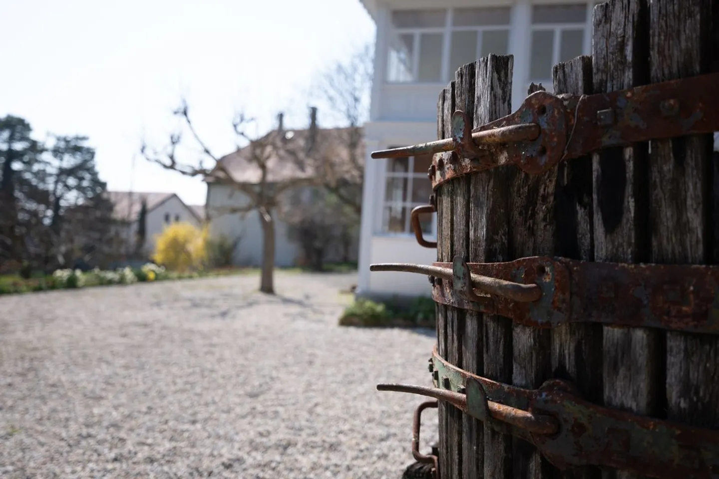 The Demeure au Marronnier - An exceptional property in the heart of the Vaud vineyard - Photo 13 of 13