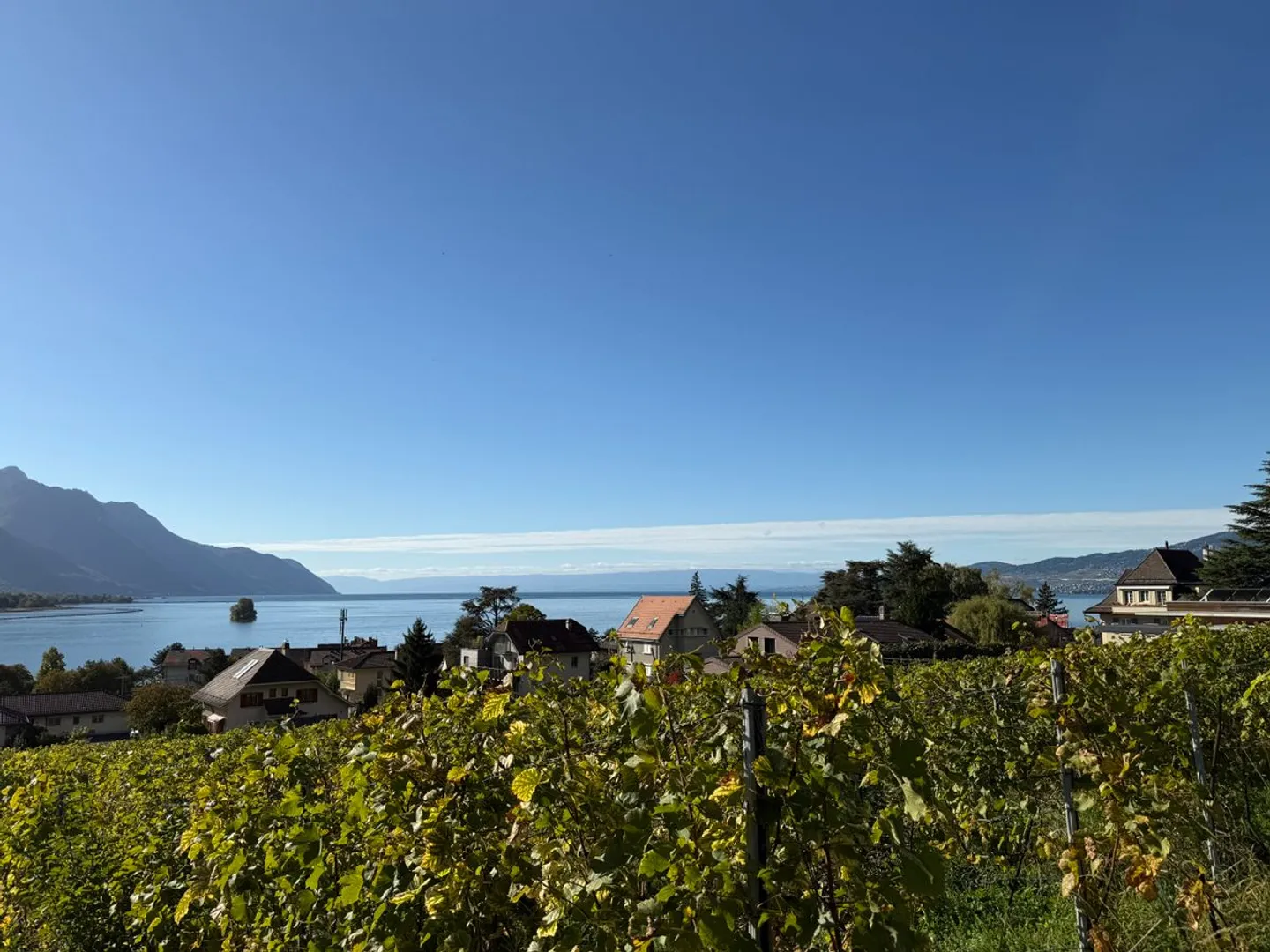 Zwei außergewöhnliche Wohnungen, ruhige Wohngegend, nahe dem See und dem Stadtzentrum - Foto 1 von 1