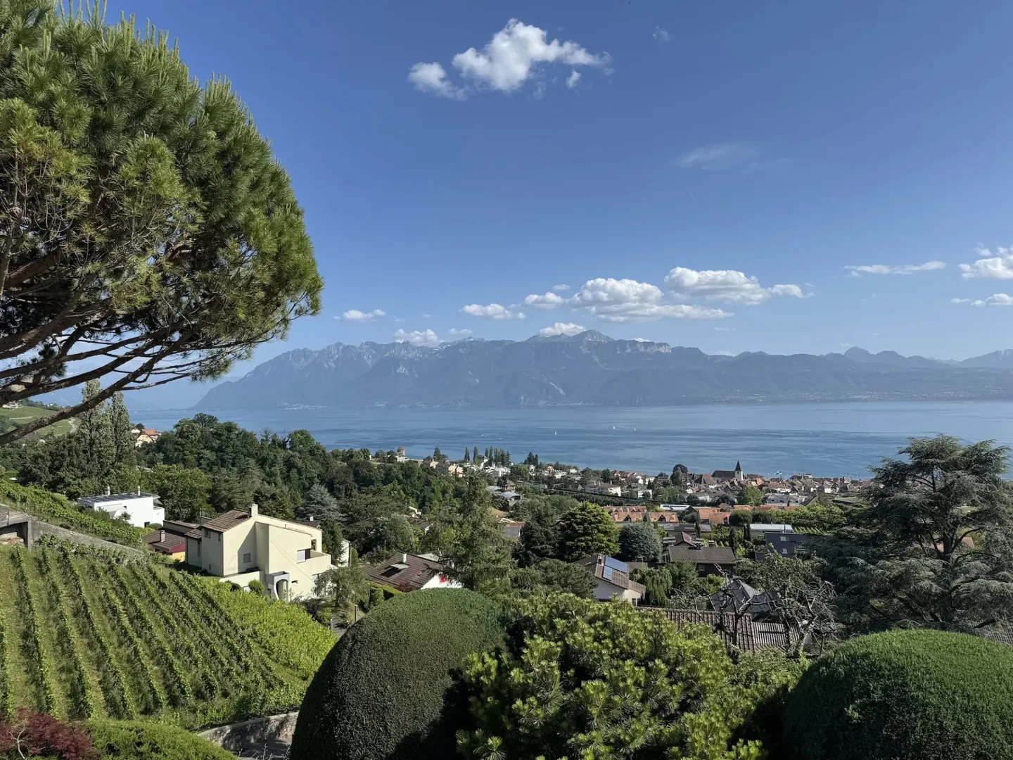 Appartement d'exception avec vue panoramique à Lutry - Foto 8 di 8