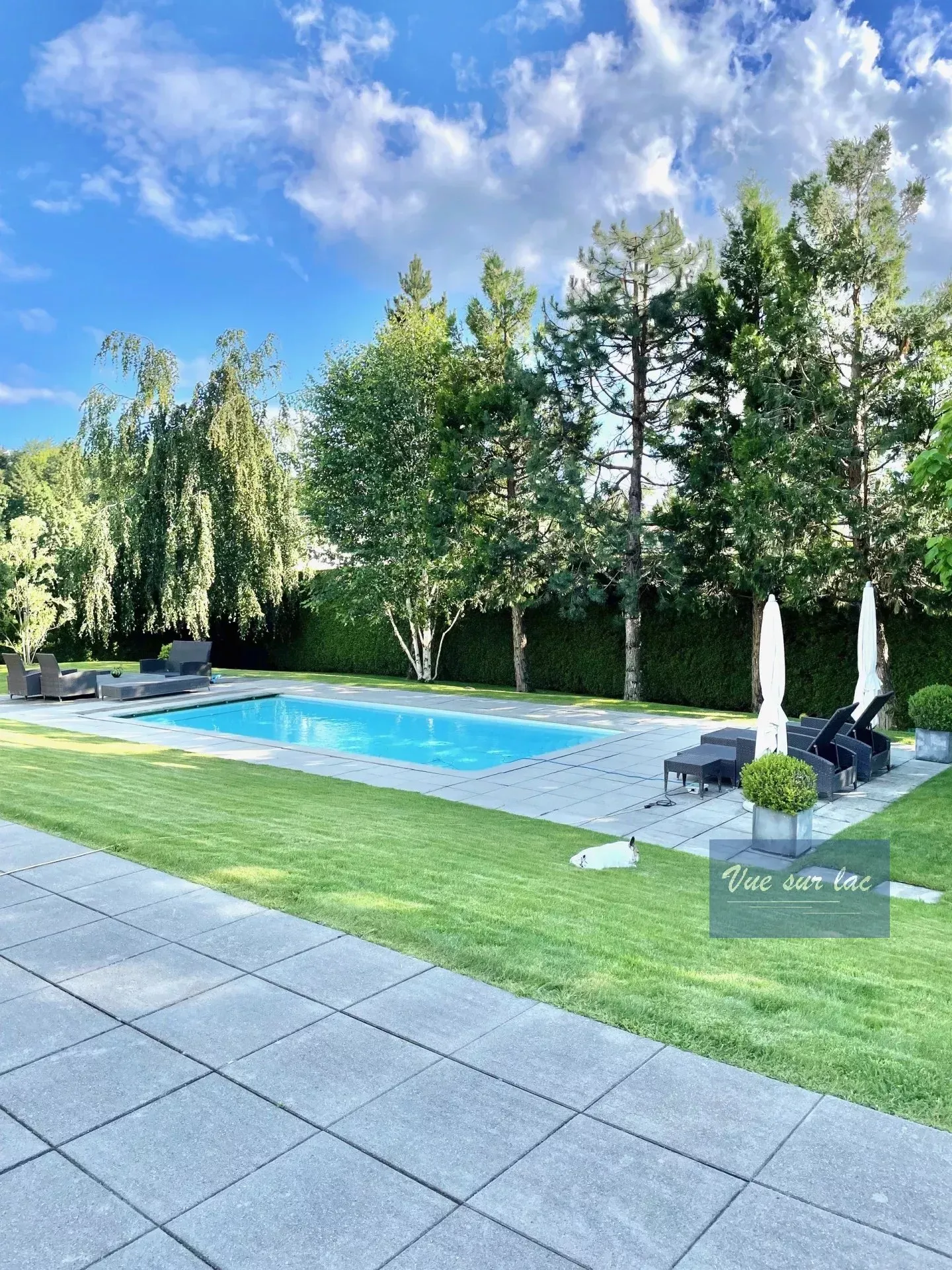 Grande villa contemporanea di 500m², piscina, tranquilla, vista sul Giura - Foto 2 di 13