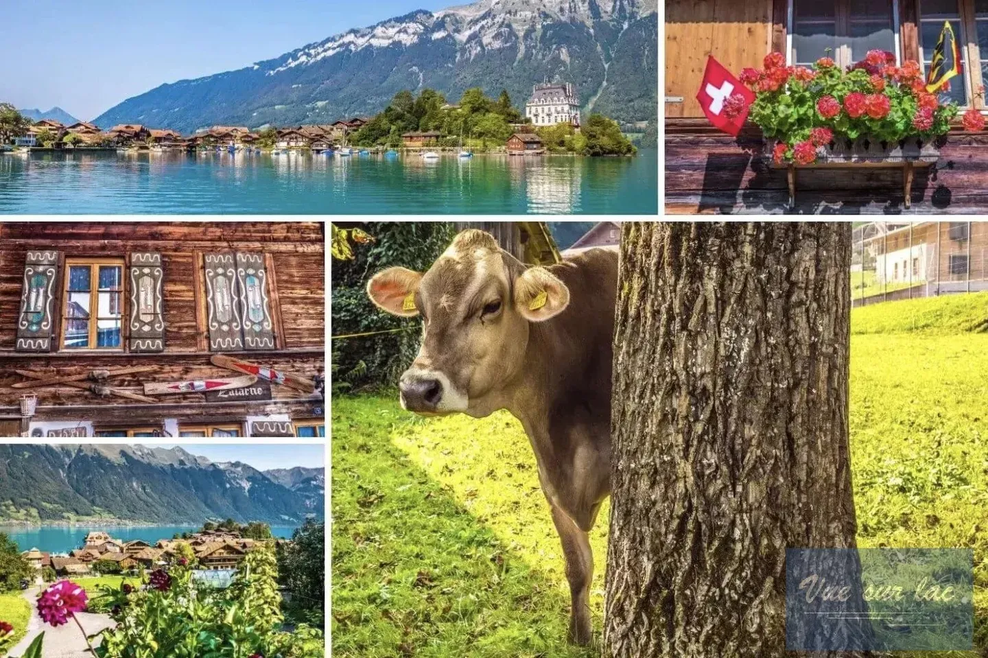 Ihr Duplex im Berner Oberland, die Magie der Schweiz - Foto 13 von 13