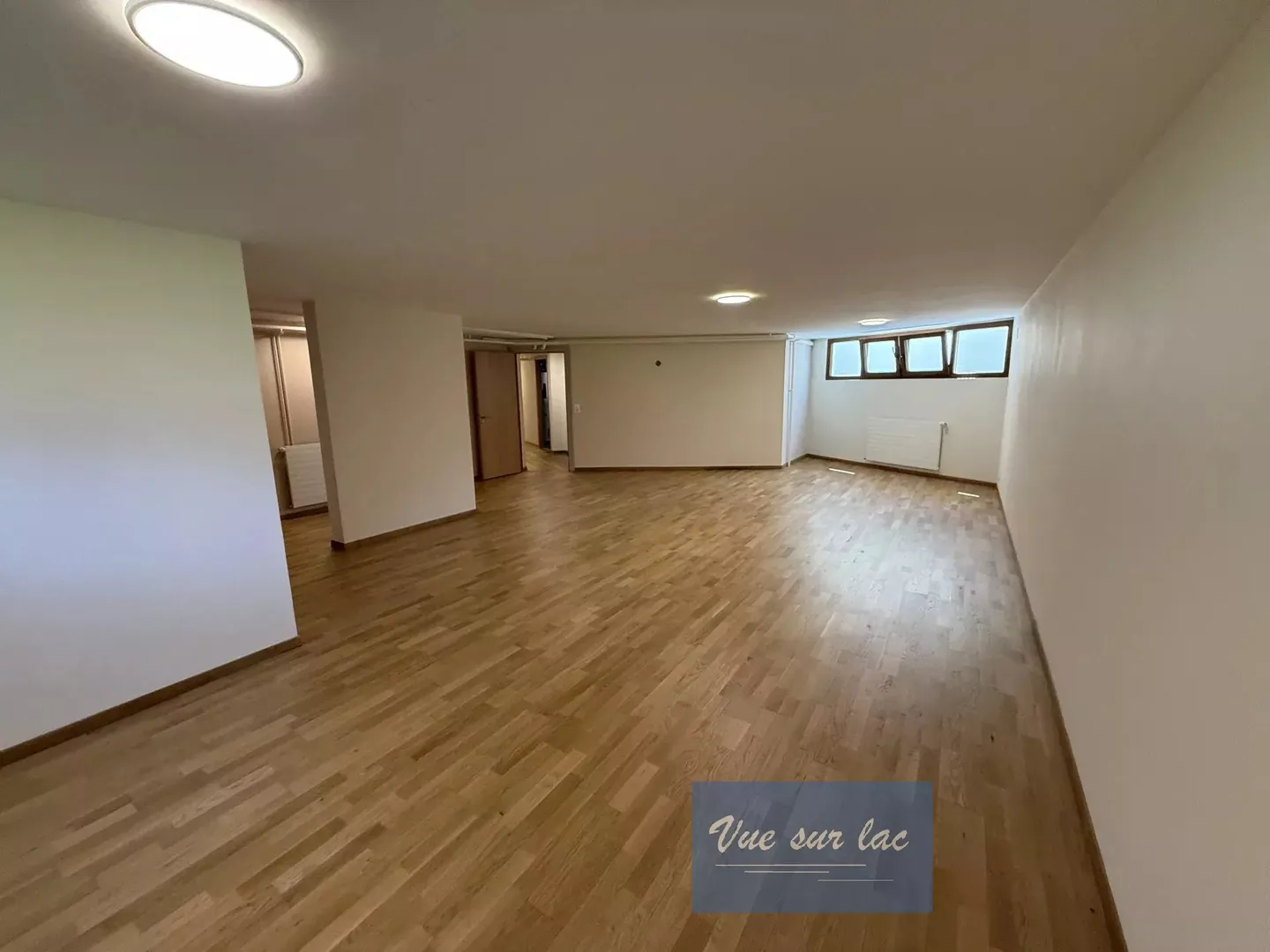 LUXURY VILLA IN VESSY WITH POOL AND EXPANSION POTENTIAL - Photo 12 of 13