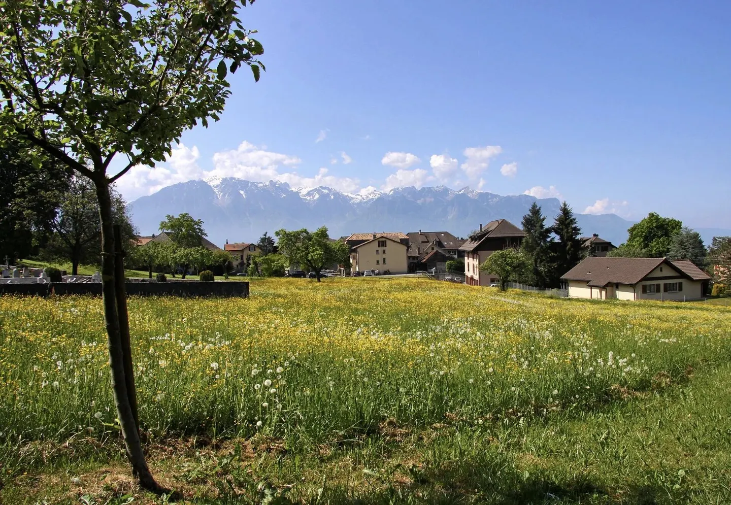 Vollständig renoviertes Einfamilienhaus mit Blick auf den See - Foto 1 von 3