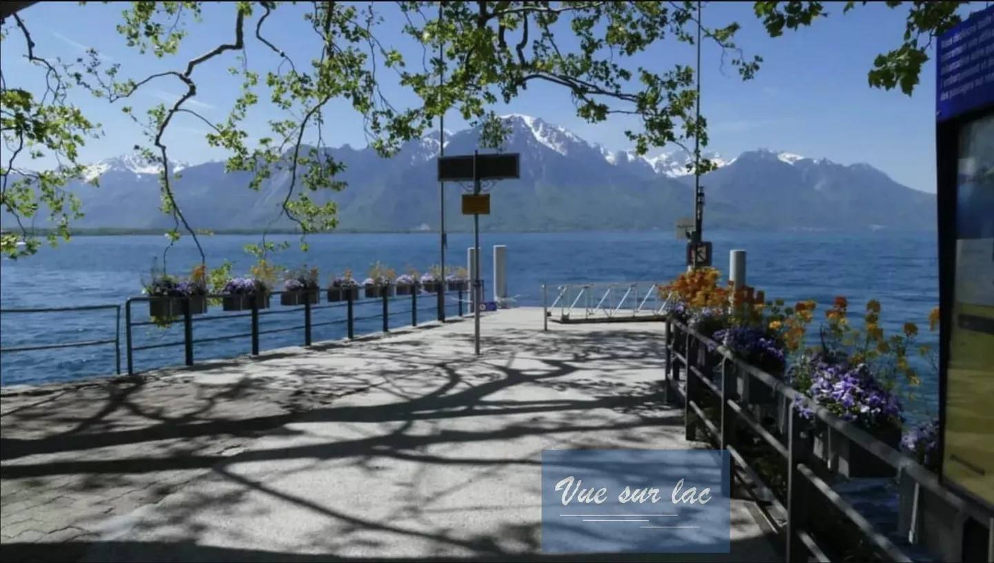 Charming apartment in Montreux with breathtaking views - Photo 11 of 12