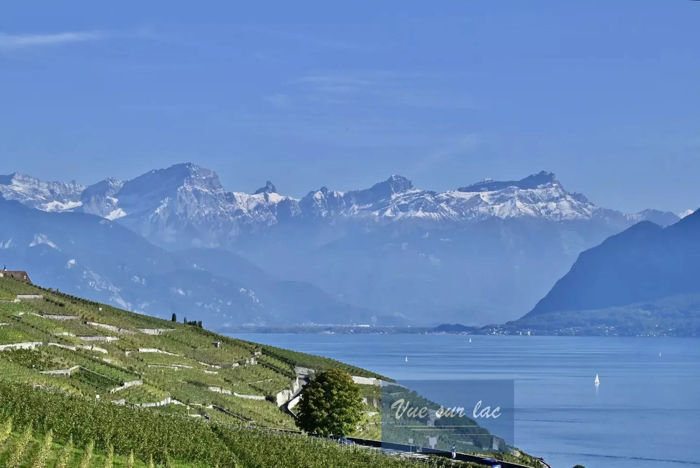 Appartamento panoramico nuovo! Urgente! - Foto 2 di 13