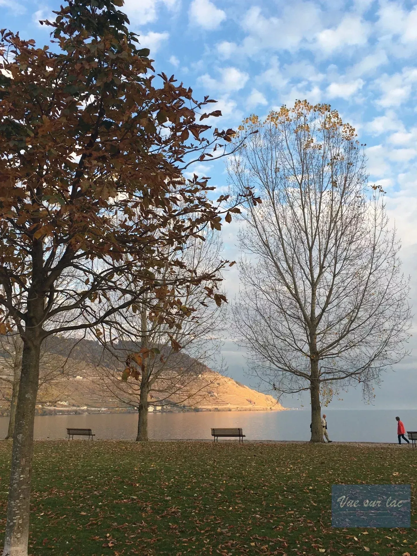 TERRENO UNICO con permesso: 1 o 2 lotti, vista panoramica! - Foto 9 di 11