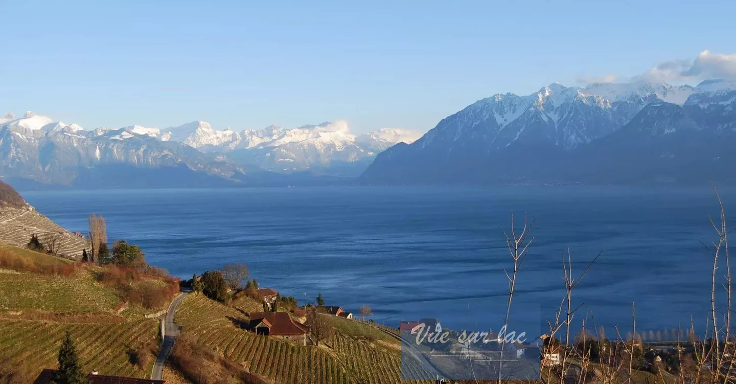 Appartamento panoramico nuovo! Urgente! - Foto 12 di 13