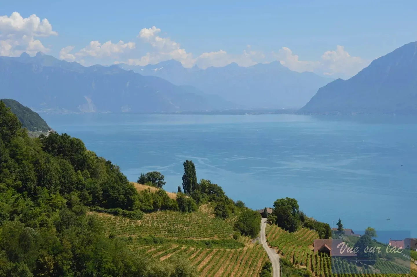 Nuova casa con 4 camere da letto, vista panoramica senza disturbi! - Foto 8 di 12