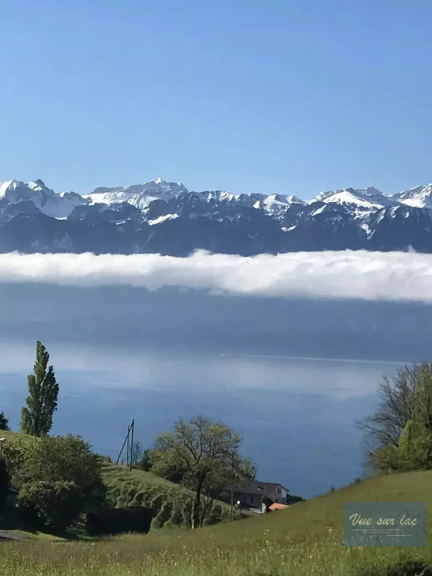 TERRENO UNICO con permesso: 1 o 2 lotti, vista panoramica! - Foto 2 di 11