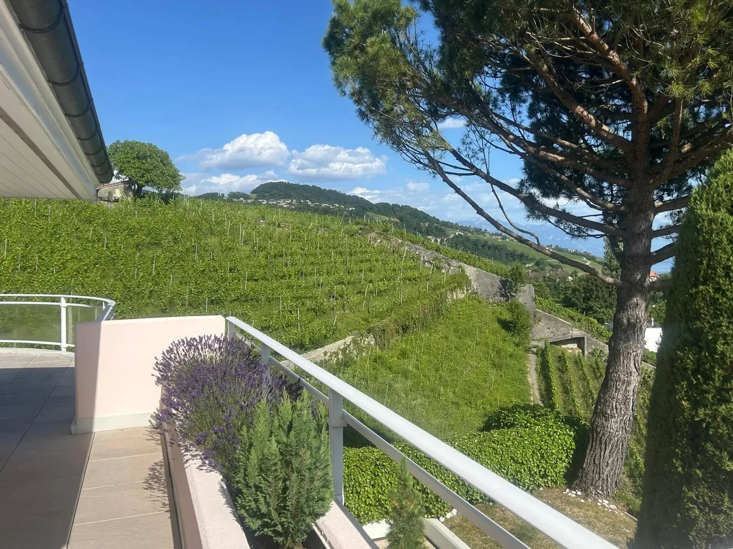 Appartement d'exception avec vue panoramique à Lutry - Foto 7 di 8